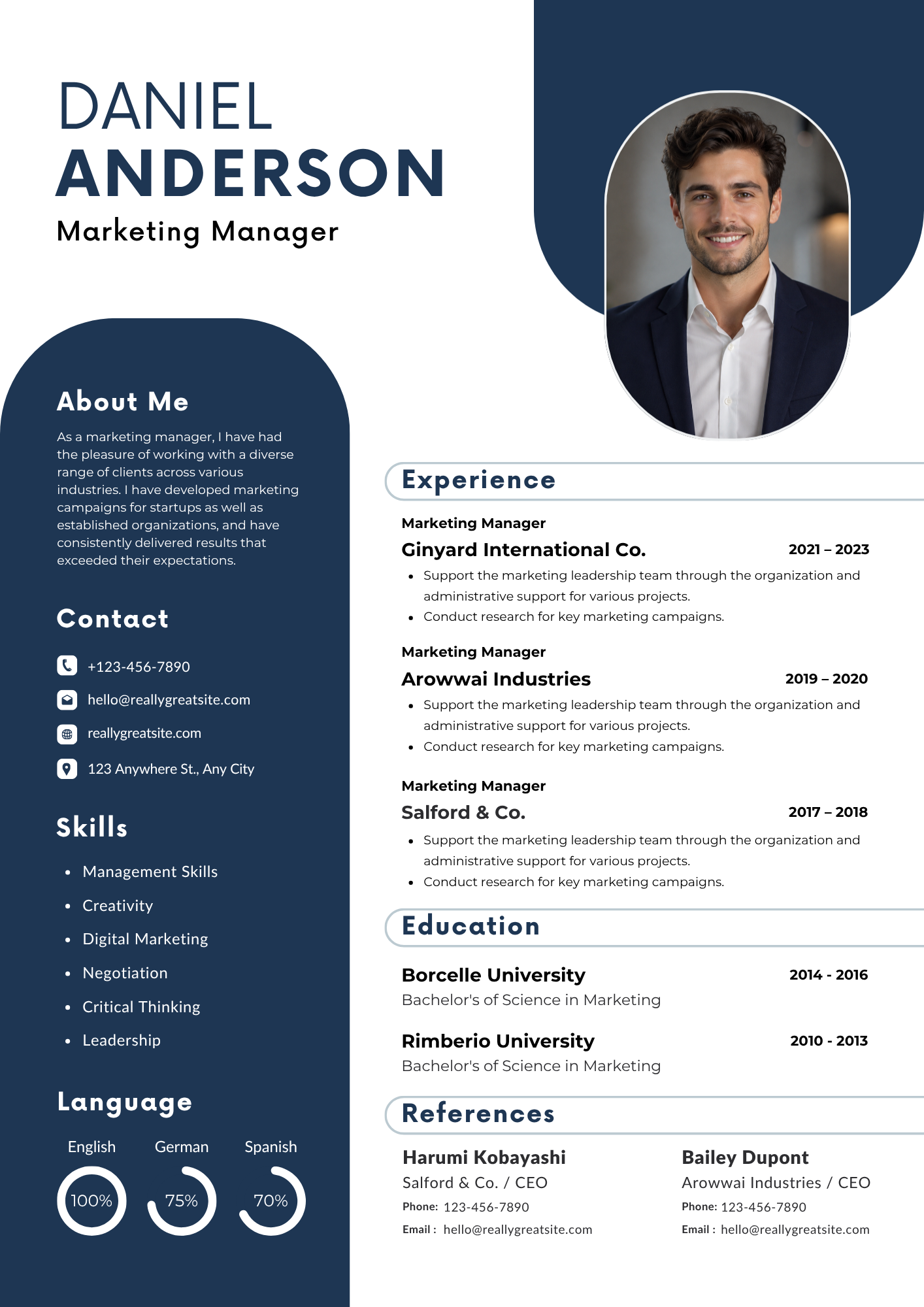 Navy Executive resume template preview